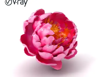Exquisite 3D Peony Flower Model Pack Low-poly 3D model