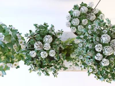 Hanging pot flowers 3D model