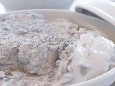 Katsudon and Donburi bowl with lid - Pork Cutlet Rice Bowl Low-poly 3D model