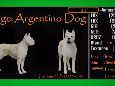 Dogo Argentino Dog Low-poly 3D model