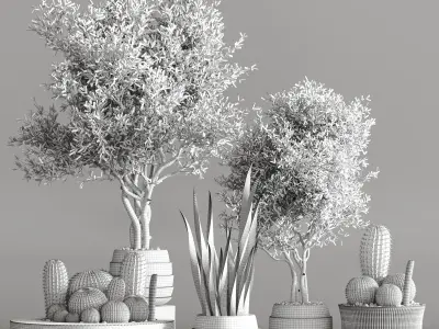 Cactus   Plant vol 02 3D model