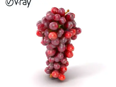 Realistic Red Grape Bunch 3D model pack Low-poly 3D model