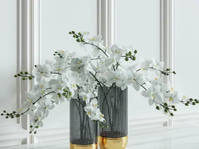 Flower Set 009 Orchids 3D model