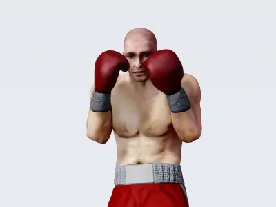 Professional  heavyweight boxer Low-poly 3D model