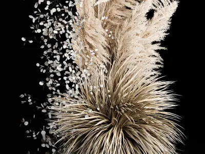 Wedding Arch Made Of Dried Flowers Pampas Grass 3D model
