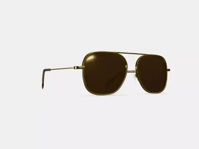 Sade Sunglasses in Polished Gold 3D model