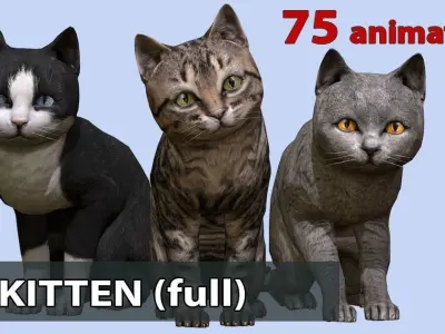 Kitten full Low-poly 3D model
