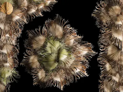 Wall panel made of dried flowers leaves of palm branches 307 3D model