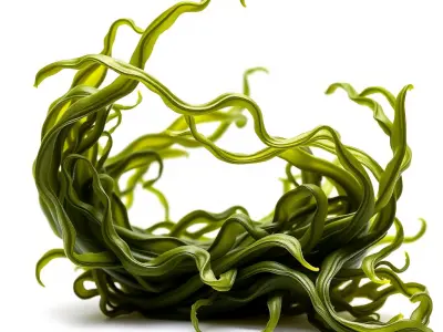 Flowing Green Seaweed Design model pack Low-poly 3D model