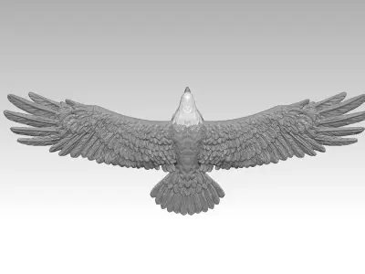 Bald eagle-3D print model 3D print model