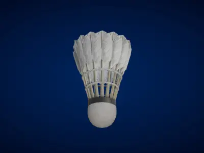 Shuttlecock 3D model