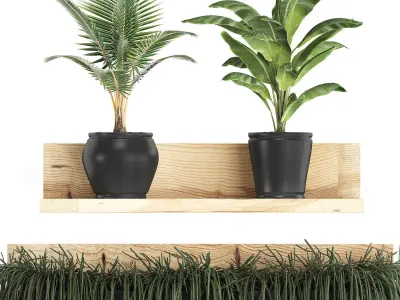 Collection of Exotic Plants 406 3D model