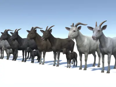 Goat family Low-poly 3D model