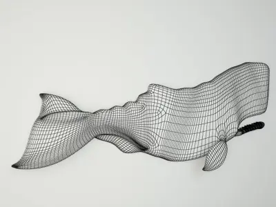 Hand-Carved Sperm Whale 3 3D model