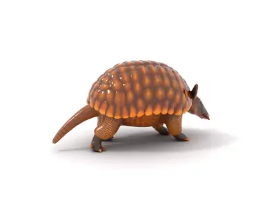 Armadillo Texture Armor model pack Texture