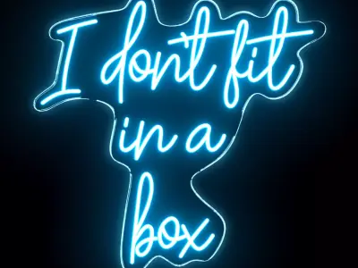 I do not fit in a box Neon Sign 3D model