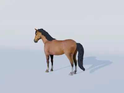 3D Model of a Brown Horse Low-poly 3D model