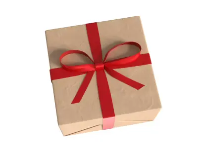 Wrapped Gift Box PBR 09 3D model
