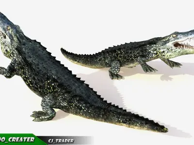 LowPoly Crocodile Beast Rigged 3d model Low-poly 3D model