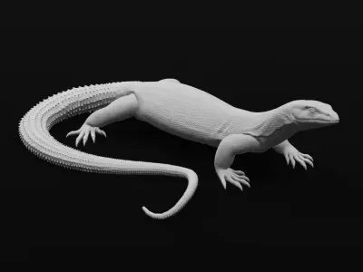 Ackie Monitor - Spiny Tailed Monitor - Lizard Reptile 3D Print 3D print model