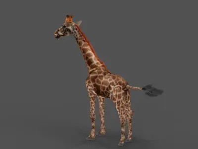 Fur Giraffe NO Rigged in Blender Low-poly 3D model