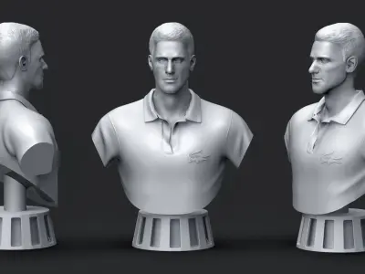 Novak Djokovic 3D Printable 3D print model