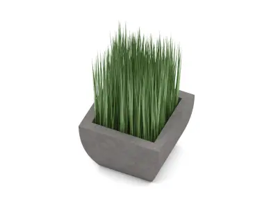 Potted grass Free 3D model
