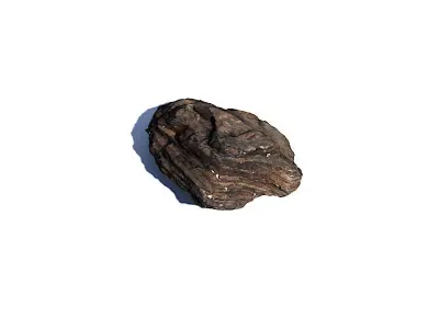 Bark Chip 3D Scan Free 3D model