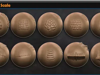 Dragon Scale  Vol 17 3D model