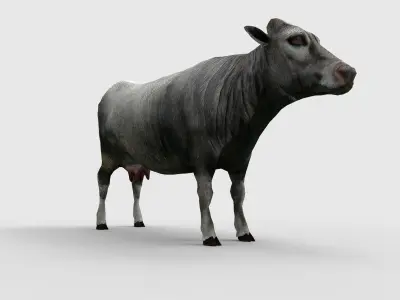 3D Cow Rigged cattle game ready Low-poly 3D model