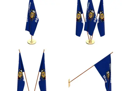 Wisconsin Flag Pack 3D model