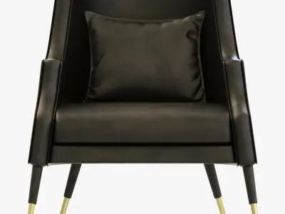 Delightfull ELIS ARMCHAIR 3D model