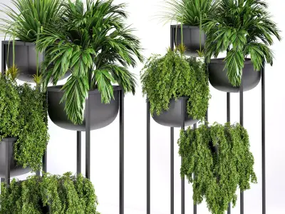 indoor plant set 03 3D model purchase