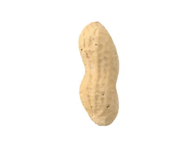 Photorealistic Peanut 3D Scan 3D model