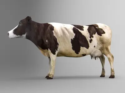 Cow Rigged cattle game ready low poly Low-poly 3D model