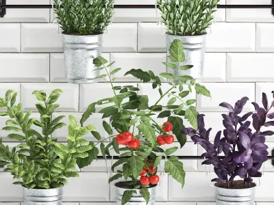 Decorative plants for the kitchen on railing 380 4 3D model