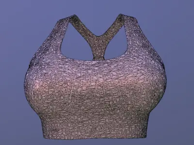 NIKE WOMEN SPORT TOP PBR Low-poly 3D model