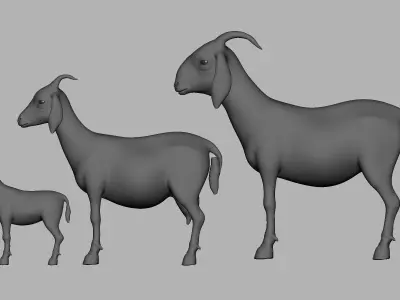 Goat Family Basemesh Low-poly 3D model