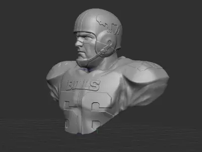 Vintage Buffalo Bills Throwback Bust 3D print model