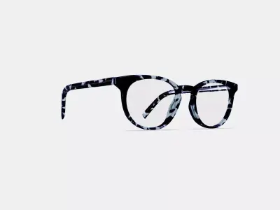 Sadie Eyeglasses in Riverbed Tortoise 3D model