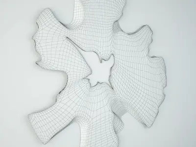 Organic Root Slice Mirror 3D model