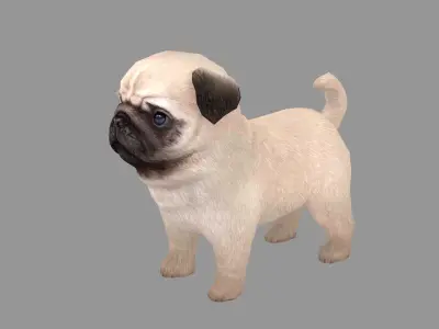 Cartoon pet puppy - Paco - baby dog Low-poly 3D model