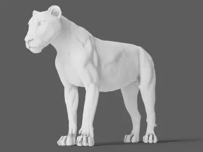 Lion 3D Model animal 3D model