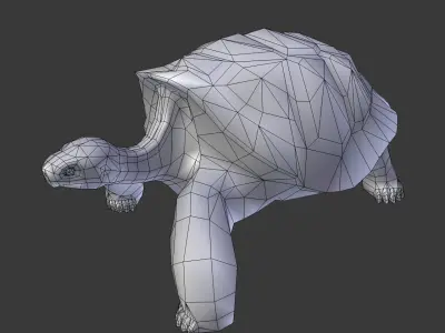 Giant tortoise 3D model