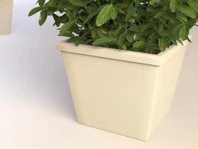 Plant In Pot 01 3D model