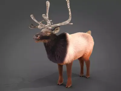 Fur Red Reindeer Blender NO RIG Low-poly 3D model