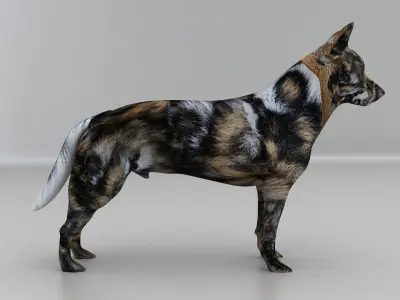 cute dog 3D model