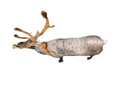 Reindeer Rigged  Low-poly 3D model