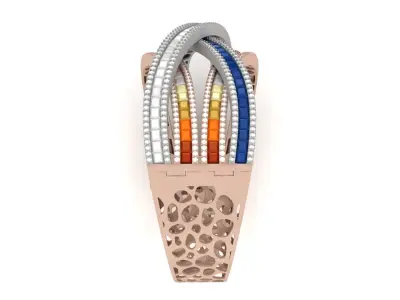 Bracelet 0019 3D print model