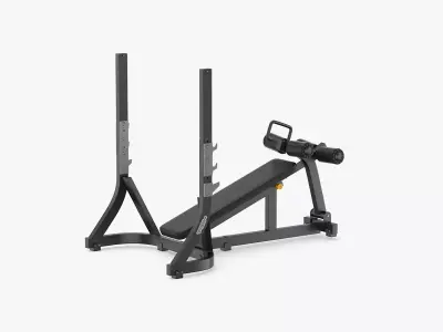 Technogym Pure Olympic Decline Bench 3D model